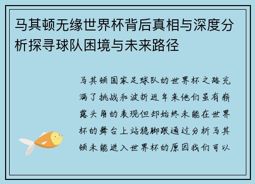 马其顿无缘世界杯背后真相与深度分析探寻球队困境与未来路径
